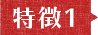 特徴1